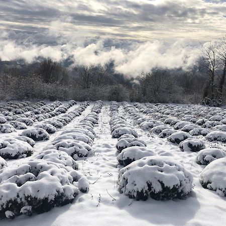 Kuca Za Odmor Koprivnjak Tomasevci Exterior foto