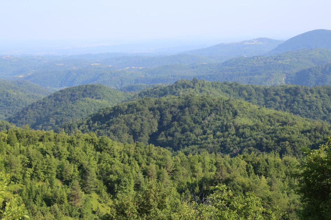 Kuca Za Odmor Koprivnjak Tomasevci Exterior foto